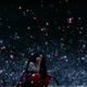 Image for article titled This Is Beautiful